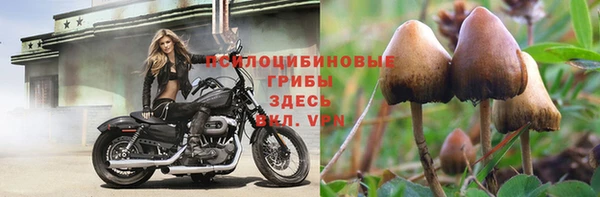 a pvp Покровск