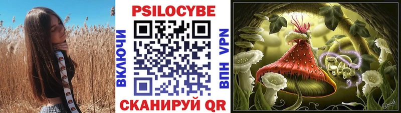 где можно купить   Североморск  Псилоцибиновые грибы Psilocybe 
