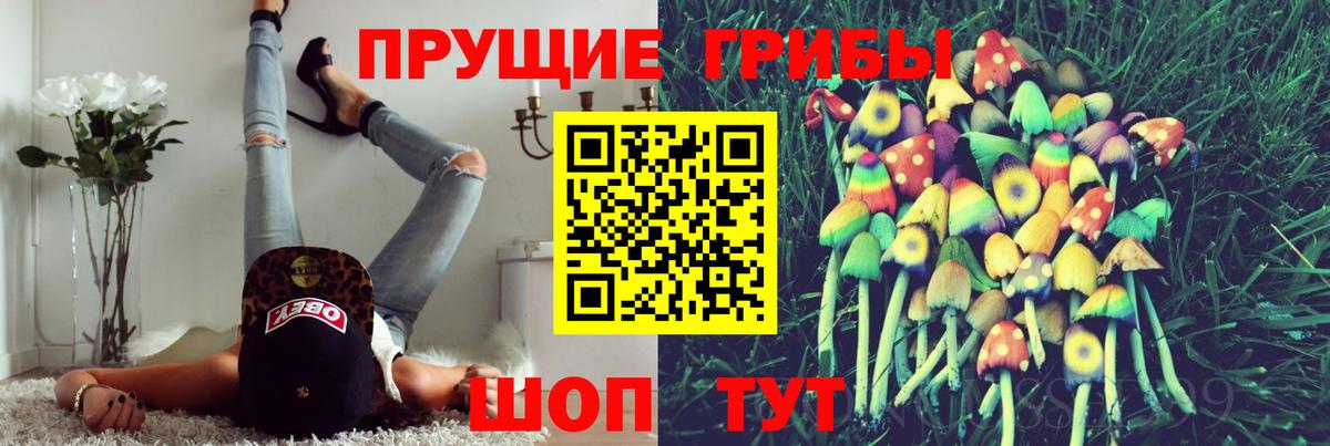 Галлюциногенные грибы мицелий  Вход с VPN  что такое   Североморск  Псилоцибиновые грибы прущие грибы 